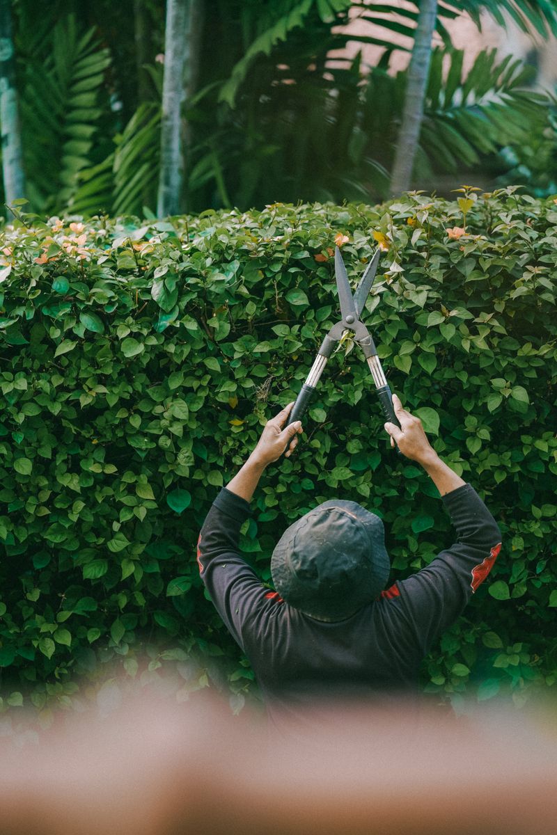 Gardening & Outdoor